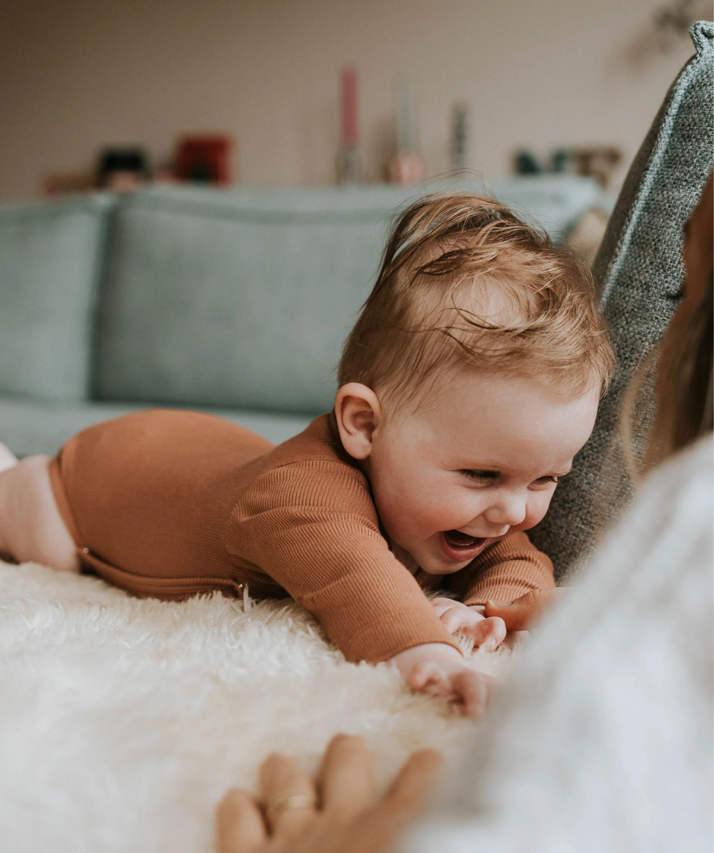 Wrap Body Short Sleeve - Terra