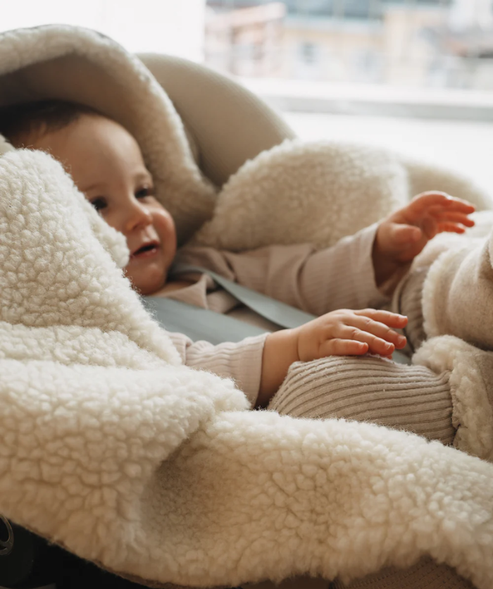 Einschlagdecke Koala